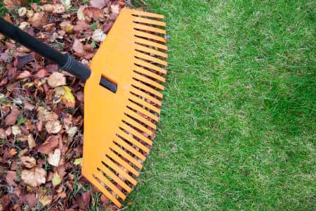 The Hidden Costs of DIY Lawn Care vs. Professional Service Thumbnail