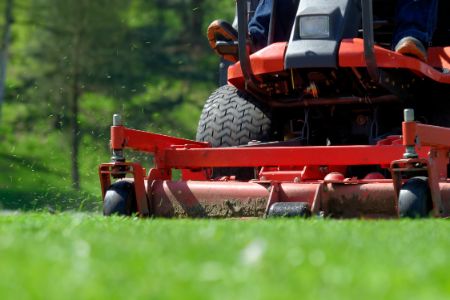 What to Expect from Professional Lawn Service Thumbnail