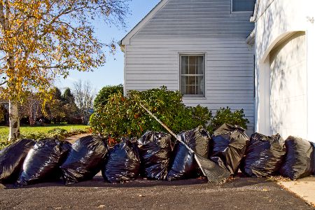 Storm Cleanup